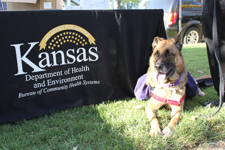Capitol Farmer’s Market 2019
