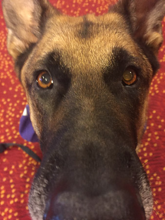 Extreme close up!