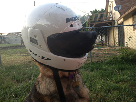 helmet